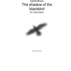 The Shadow of the Blackbird