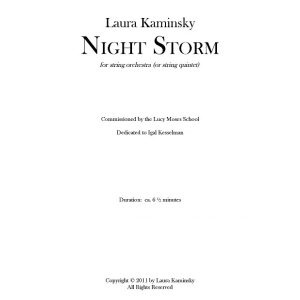 Night Storm
