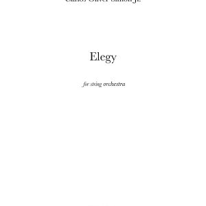 Elegy